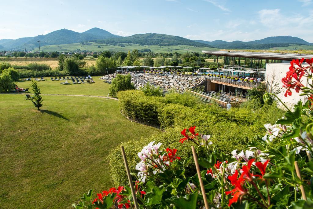 Hotel Barriere Ribeauville Exteriér fotografie